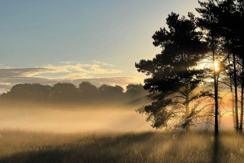 Solopgang over en tåget eng ved en lodge, med solstråler der skinner gennem træerne og et fredeligt landskab.
