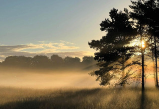 Zonsopgang over een mistige weide aan een lodge, zonlicht schijnt door de bomen in een kalm natuurlandschap.