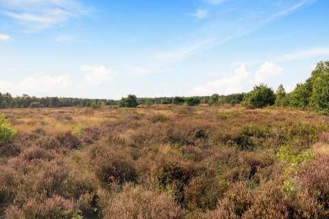 Open heidegebied met struiken en bomen onder een blauwe lucht, vastgelegd bij een lodge.