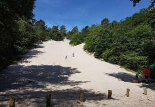 Sandiger Hang umgeben von Wald in der Nähe der niederländischen Küste mit Menschen beim Spaziergang.