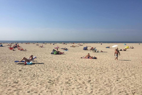 Personas descansando en una amplia playa de arena cerca de la costa en Países Bajos bajo cielo azul.