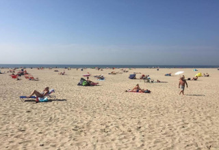 Menschen entspannen sich am sandigen Strand nahe der Küste der Niederlande bei klarem Himmel.