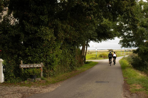 Zwei Radfahrer fahren auf einer ruhigen, baumbestandenen Straße bei Hoeve te Gast in den Niederlanden.