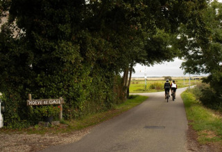 Zwei Radfahrer fahren auf einer ruhigen, baumbestandenen Straße bei Hoeve te Gast in den Niederlanden.