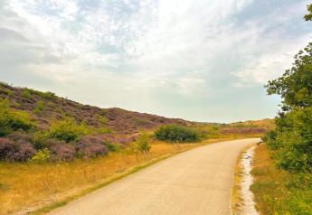 Rustige weg bij de kust omgeven door heide en struiken aan een tiny house appartement in Nederland.