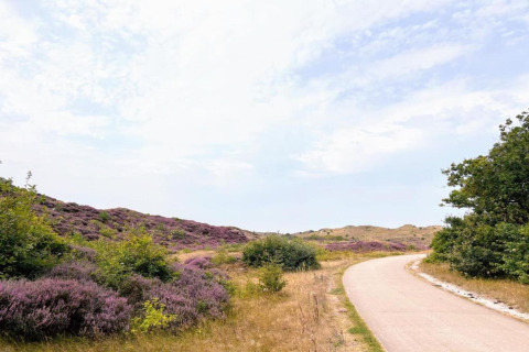 Ein gewundener Weg verläuft durch Heide und Büsche nahe der niederländischen Küste unter hellem Himmel.