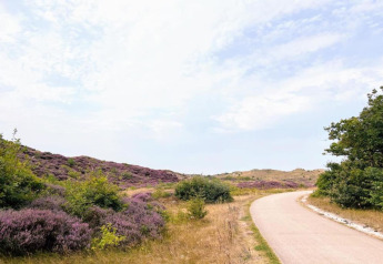 Ein gewundener Weg verläuft durch Heide und Büsche nahe der niederländischen Küste unter hellem Himmel.