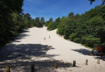 Kinderen spelen op een zandheuvel omringd door bos bij een appartement aan de Nederlandse kust.