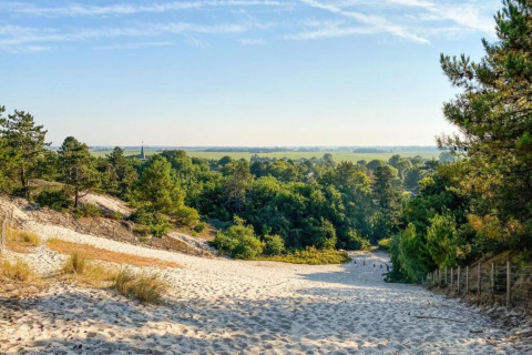 Sanddünen und grüne Bäume nahe der Küste aus einer kleinen Wohnung in den Niederlanden.