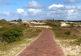 En rød murstenssti fører gennem klitlandskab mod små huse ved kysten i Holland under blå himmel.