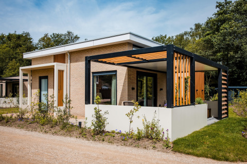 Moderne lodge med fladt tag, store vinduer og udendørs terrasse, omgivet af grønne planter og træer.