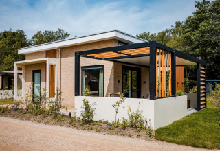 Moderne lodge med fladt tag, store vinduer og udendørs terrasse, omgivet af grønne planter og træer.
