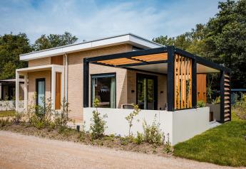 Moderne lodge med fladt tag, store vinduer og udendørs terrasse, omgivet af grønne planter og træer.