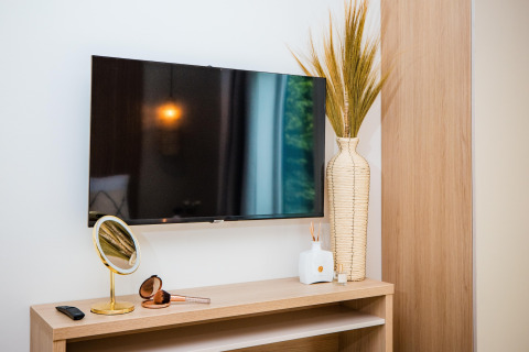 Moderne lodgeinteriør med vægmonteret tv, stor vase, bordpejl, makeupbørster og fjernbetjening.