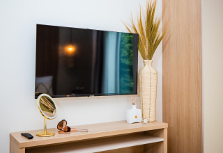 Modernes Lodge-Interieur mit Wandfernseher, großer Vase, Tischspiegel, Schminkpinseln und Fernbedienung.