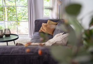 Knusse woonkamer in Heivlinder Comfort 4+2p lodge in Nederland, met zetel, kussens en groot raam.