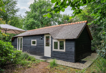 Charming Heivlinder Comfort 4+2p. lodge with thatched roof, black wood exterior, nestled in greenery.