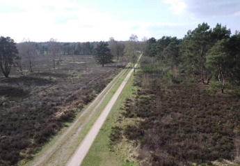 Aerial view of a long path through nature near Heivlinder Comfort 4+2p lodge in the Netherlands.