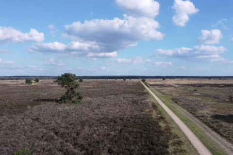 Open heidegebied met een rechte weg, blauwe lucht en wolken nabij Heivlinder Comfort 4+2p in Nederland.