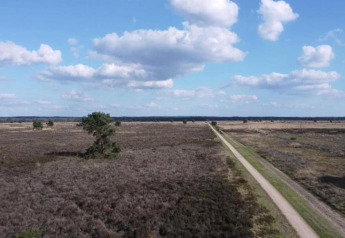 Open heath landscape with a straight road, blue sky, and clouds near Heivlinder Comfort 4+2p in the Netherlands.