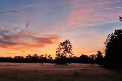 Adembenemende ochtendmist en zonsopgang bij Heivlinder Comfort 4+2p in Nederland met bomen op de voorgrond.