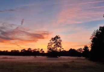 Beautiful sunrise or sunset over misty fields and trees at Heivlinder Comfort 4+2p in the Netherlands.