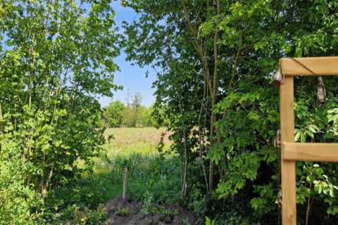 Zicht vanaf Heivlinder Comfort 4+2p lodge in Nederland, met groene bomen en een weide.