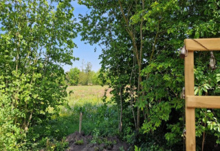 Zicht vanaf Heivlinder Comfort 4+2p lodge in Nederland, met groene bomen en een weide.