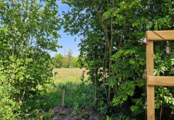 View from Heivlinder Comfort 4+2p lodge in the Netherlands, showing green trees and a meadow.