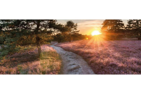 Prachtige zonsondergang bij een pad doorse heide aan Heivlinder Comfort 4+2p lodge in Nederland.