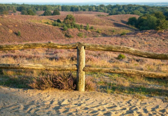 Scenic heathland at Heivlinder Comfort 4+2p Lodge in the Netherlands, with wooden fence and rolling hills.