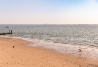 Zwei Kinder rennen am ruhigen Sandstrand am Wasser entlang, im Hintergrund das Meer und fliegende Vögel.