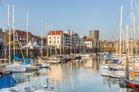 Sailboats docked in a peaceful marina with a backdrop of charming townhouses and modern apartments.