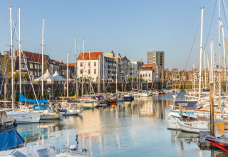 Sailboats docked in a peaceful marina with a backdrop of charming townhouses and modern apartments.