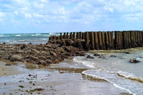 Strandansicht mit Wellen, Felsen und Holzpfählen im Wasser unter bewölktem Himmel.
