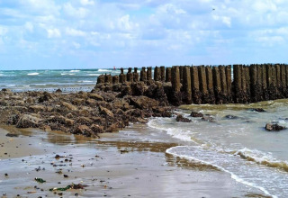 Strandansicht mit Wellen, Felsen und Holzpfählen im Wasser unter bewölktem Himmel.