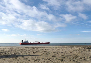 Aussicht von einem Strandhaus auf ein großes rotes Frachtschiff, das bei blauem Himmel auf dem Meer fährt.