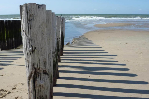 Holzpfähle am Strand werfen lange Schatten auf den Sand, nahe dem Meer unter klarem Himmel.