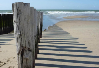 Holzpfähle am Strand werfen lange Schatten auf den Sand, nahe dem Meer unter klarem Himmel.