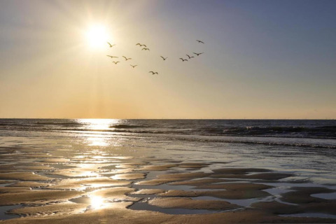 Sunset over the sea with birds flying in the sky, sunlight reflecting on wet sand near a peaceful beach house.