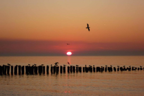 Sonnenuntergang am Strandhaus, Möwen sitzen und fliegen über Holzpfählen im Wasser vor ruhiger See.