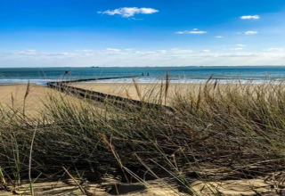 Beach view with grassy dunes in the foreground, blue sky and calm sea, seen from a beach house terrace.