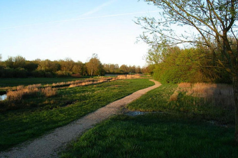 A winding path cuts through grassy fields near Noordzee Resort Vlissingen 3 in the Netherlands at sunset.