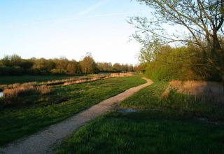 A winding path cuts through grassy fields near Noordzee Resort Vlissingen 3 in the Netherlands at sunset.