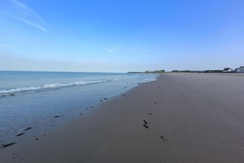 Strandansicht beim Noordzee Resort Vlissingen 2 in den Niederlanden mit ruhigem Wasser und blauem Himmel.