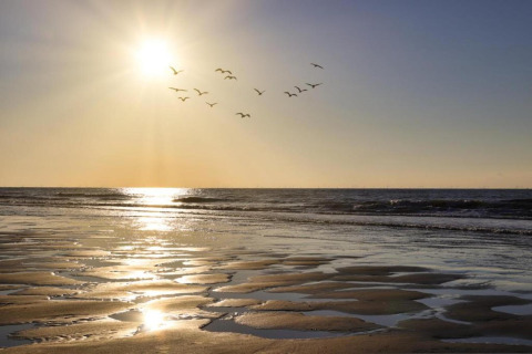 Sonnenuntergang am Strand des Noordzee Resorts Vlissingen 2 in den Niederlanden, Vögel am Himmel.