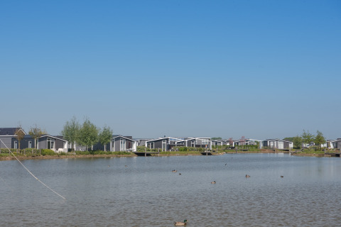 Et fredeligt ferielodgeområde ved en sø med moderne hytter, blå himmel og svømmende ænder i vandet.