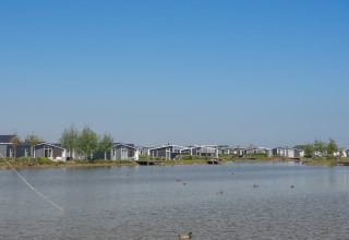 Et fredeligt ferielodgeområde ved en sø med moderne hytter, blå himmel og svømmende ænder i vandet.