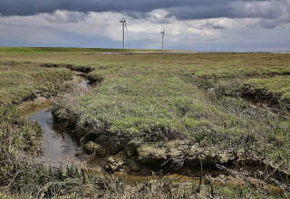 Foto af en marsk med vandløb, grøn vegetation og vindmøller i baggrunden under en dramatisk himmel.