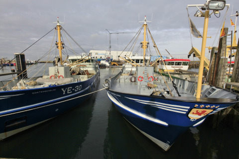 To fiskerbåde ligger fortøjret ved en havn med flere både og bygninger i baggrunden under en overskyet himmel.